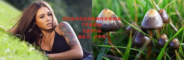 альфа пвп Армянск